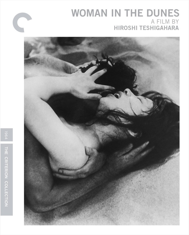 Woman in the Dunes poster