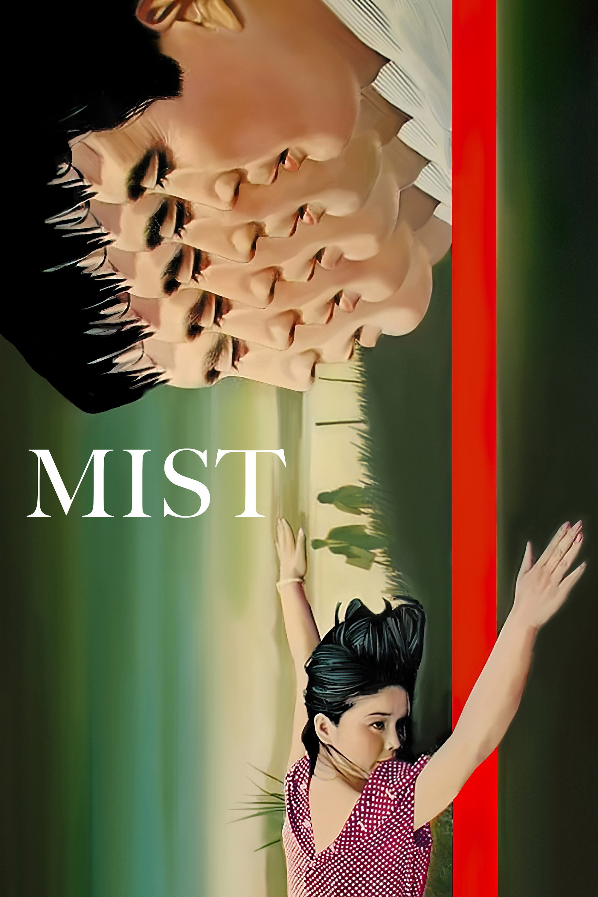 Mist poster