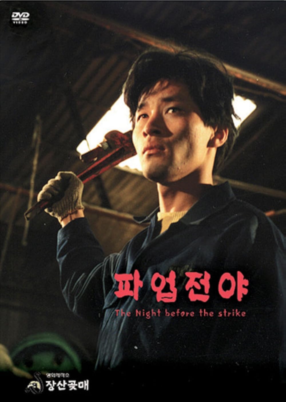 The Night Before the Strike poster