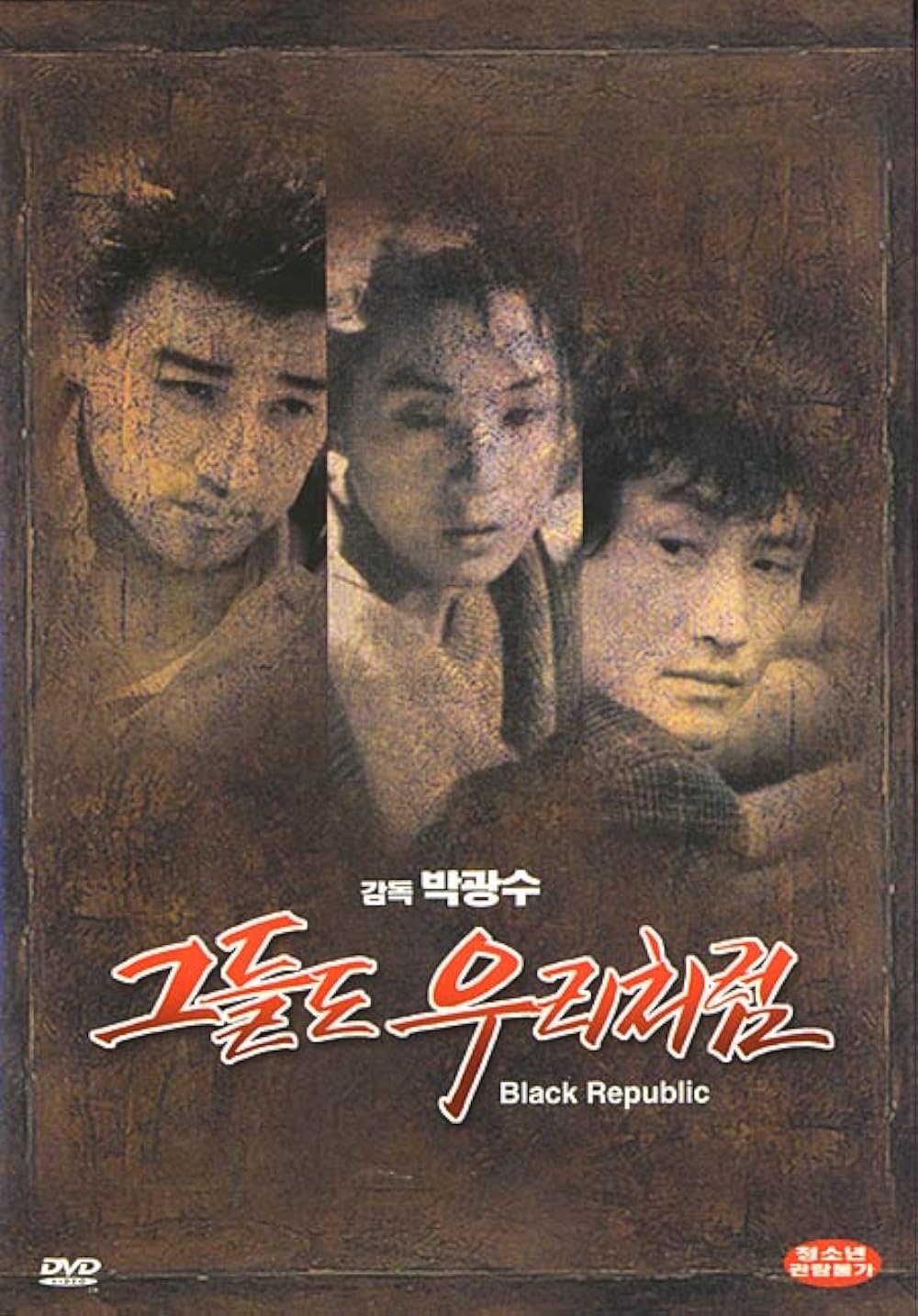 Black Republic poster