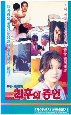 The Last Witness poster
