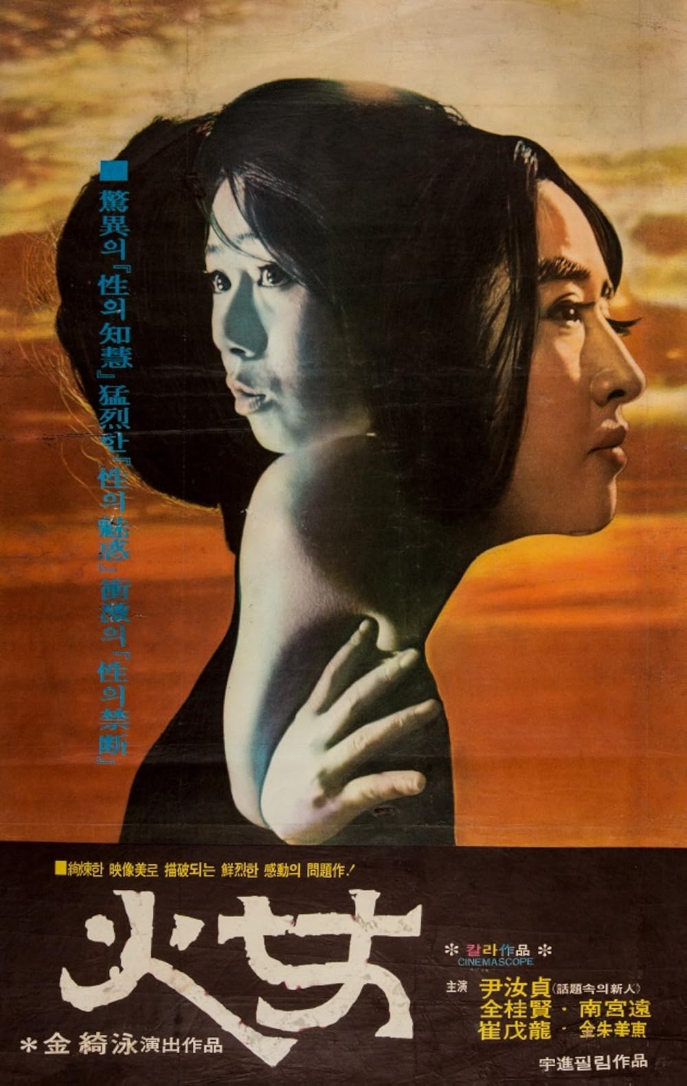 Woman of Fire poster